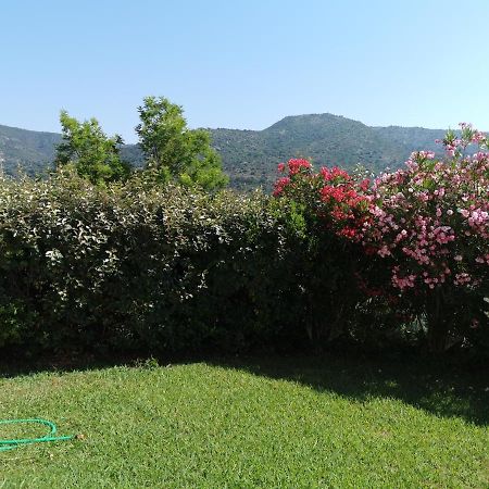 Ferienwohnung Ou Souleou Bormes-les-Mimosas Exterior foto