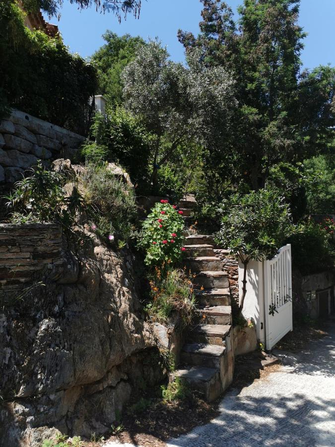 Ferienwohnung Ou Souleou Bormes-les-Mimosas Exterior foto