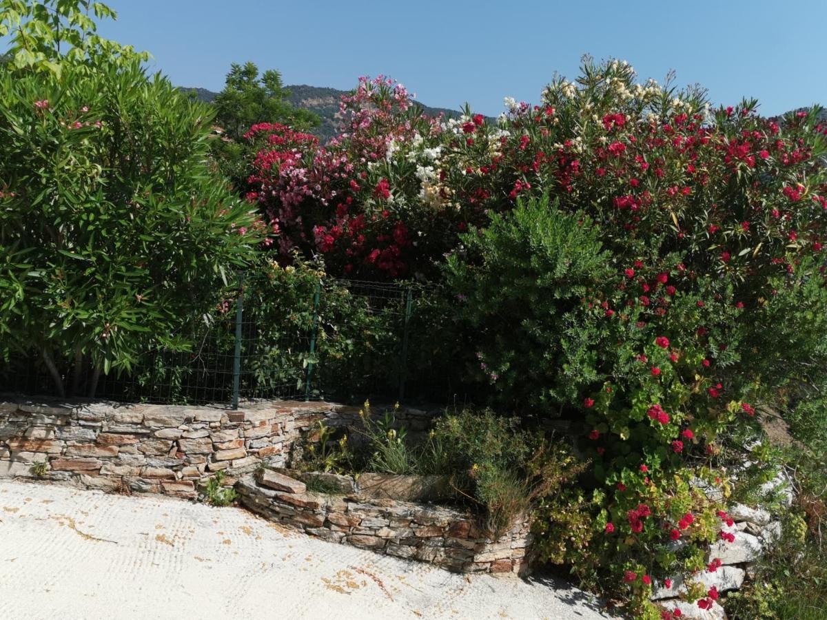Ferienwohnung Ou Souleou Bormes-les-Mimosas Exterior foto